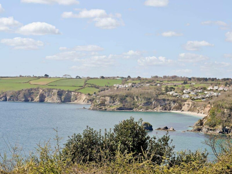 Bluebell Polmassick, Cornwall | 5 Reviews